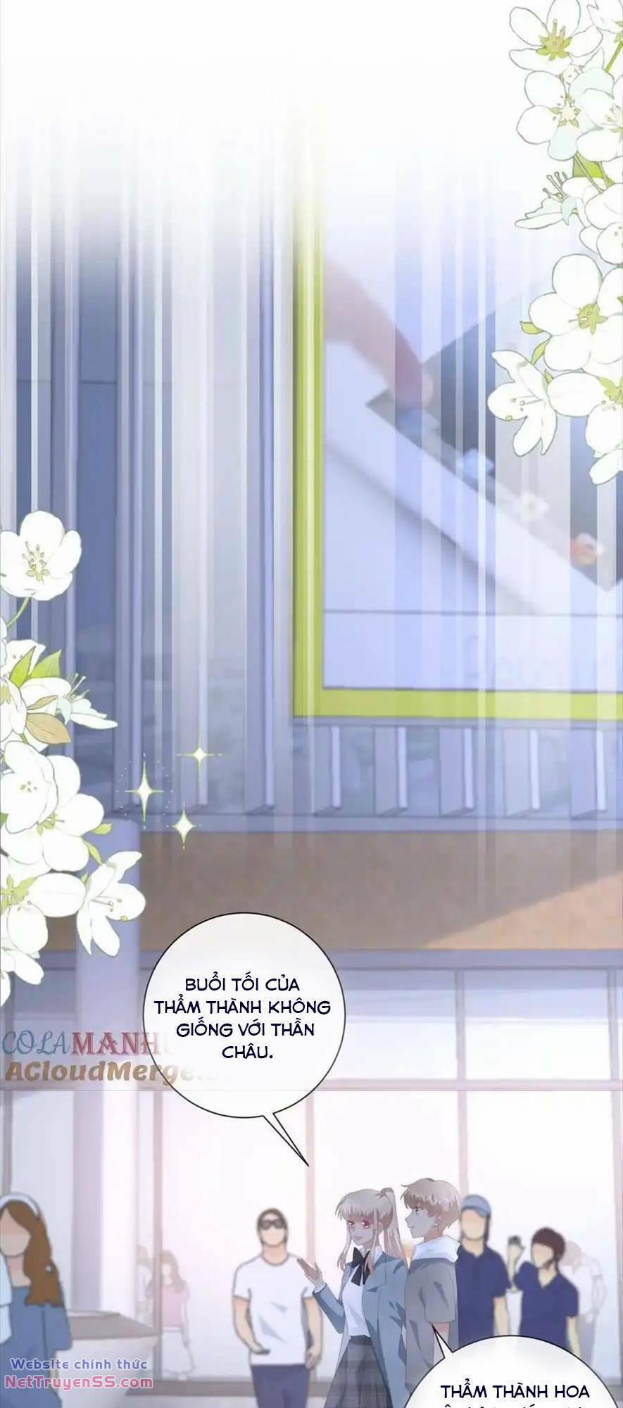 Trọng Sinh Trở Lại Làm Vợ Tổng Tài 117 trang 17