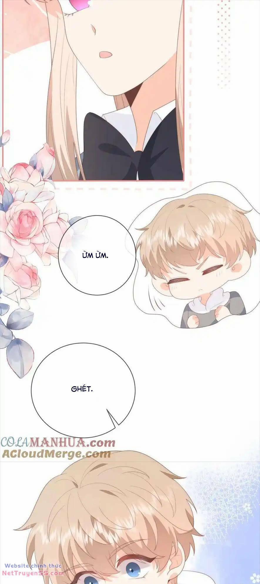 Trọng Sinh Trở Lại Làm Vợ Tổng Tài 117 trang 21