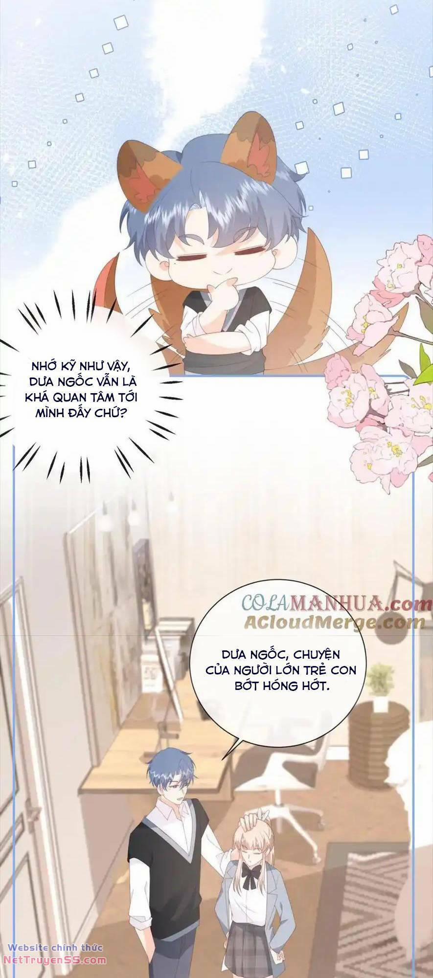 Trọng Sinh Trở Lại Làm Vợ Tổng Tài 120 trang 14