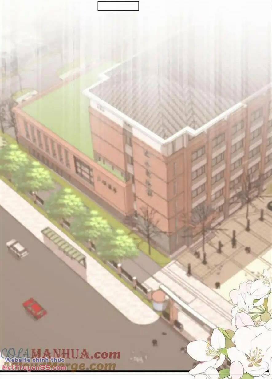 Trọng Sinh Trở Lại Làm Vợ Tổng Tài 120 trang 16