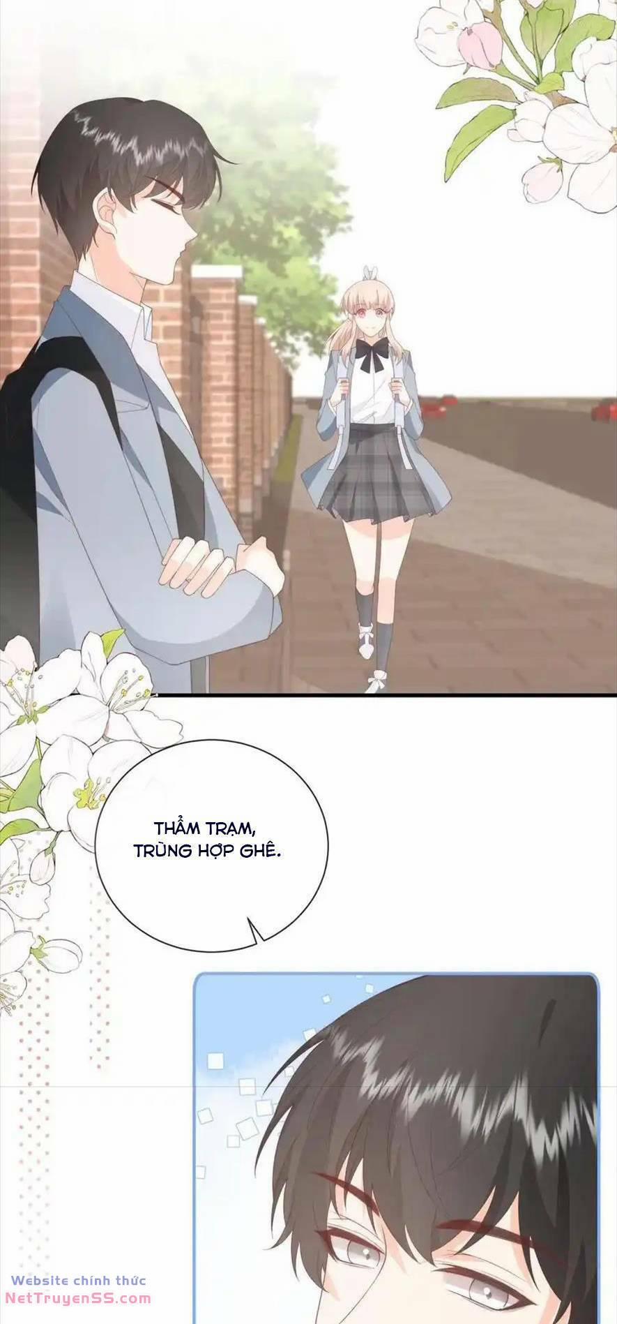 Trọng Sinh Trở Lại Làm Vợ Tổng Tài 120 trang 17