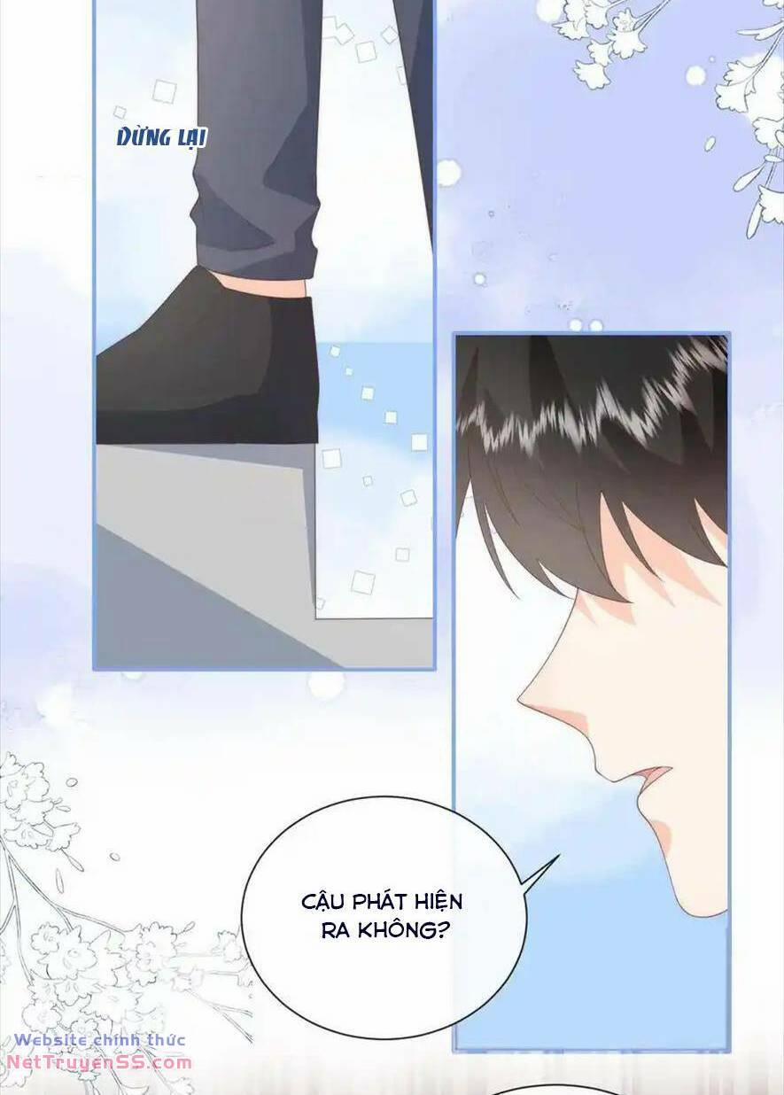 Trọng Sinh Trở Lại Làm Vợ Tổng Tài 120 trang 24