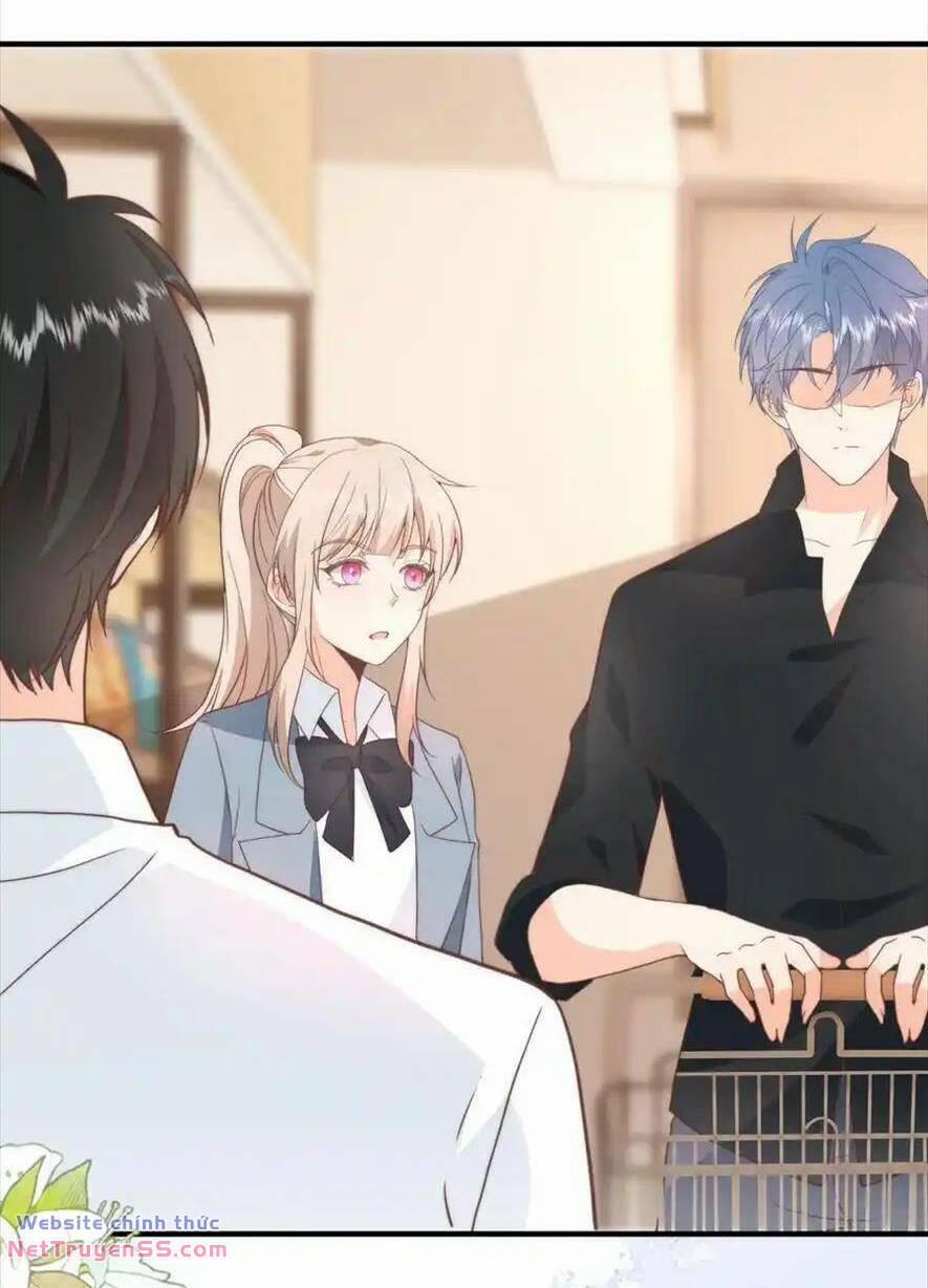 Trọng Sinh Trở Lại Làm Vợ Tổng Tài 123 trang 12