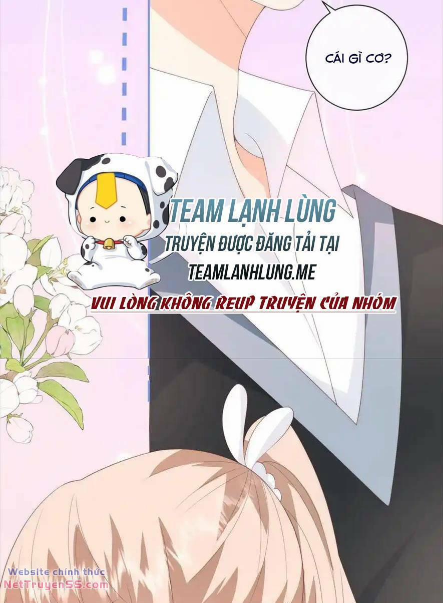 Trọng Sinh Trở Lại Làm Vợ Tổng Tài 126 trang 13