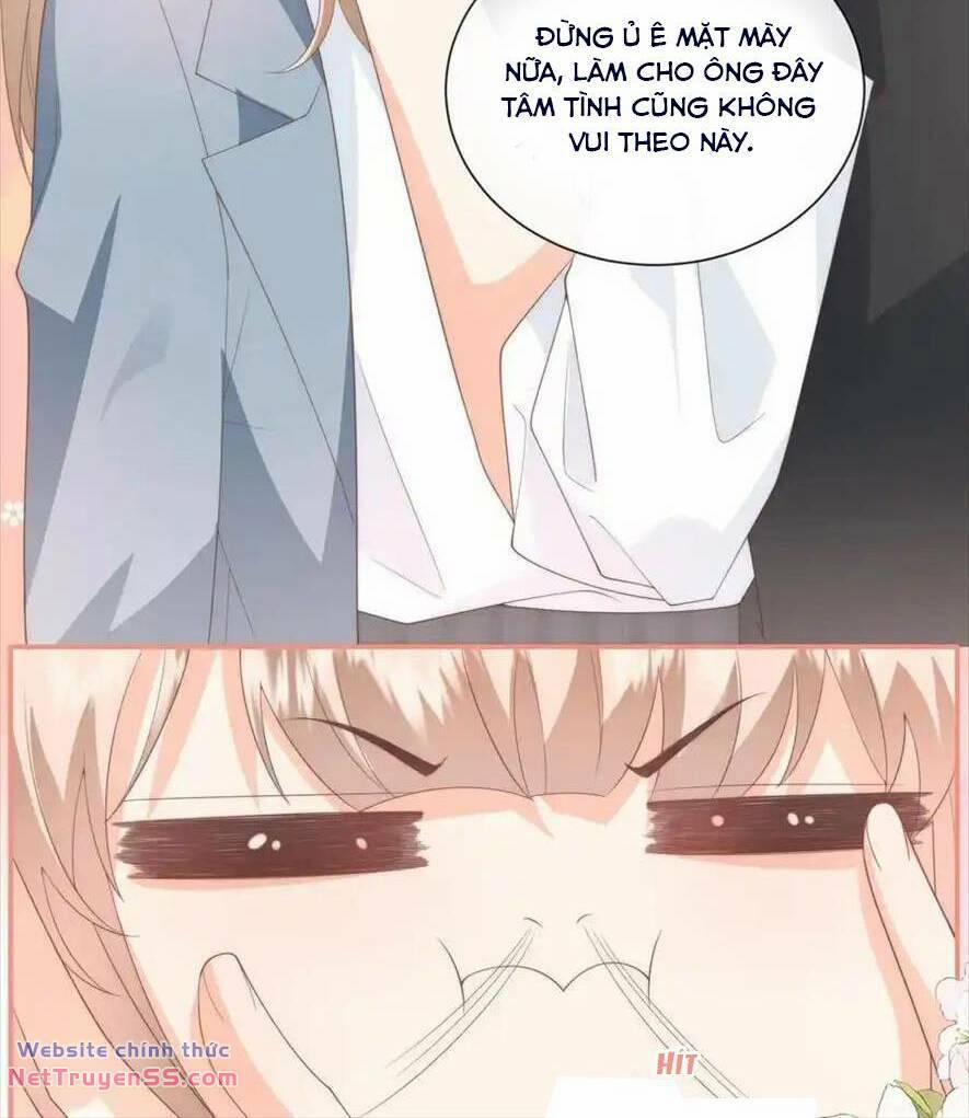 Trọng Sinh Trở Lại Làm Vợ Tổng Tài 126 trang 21