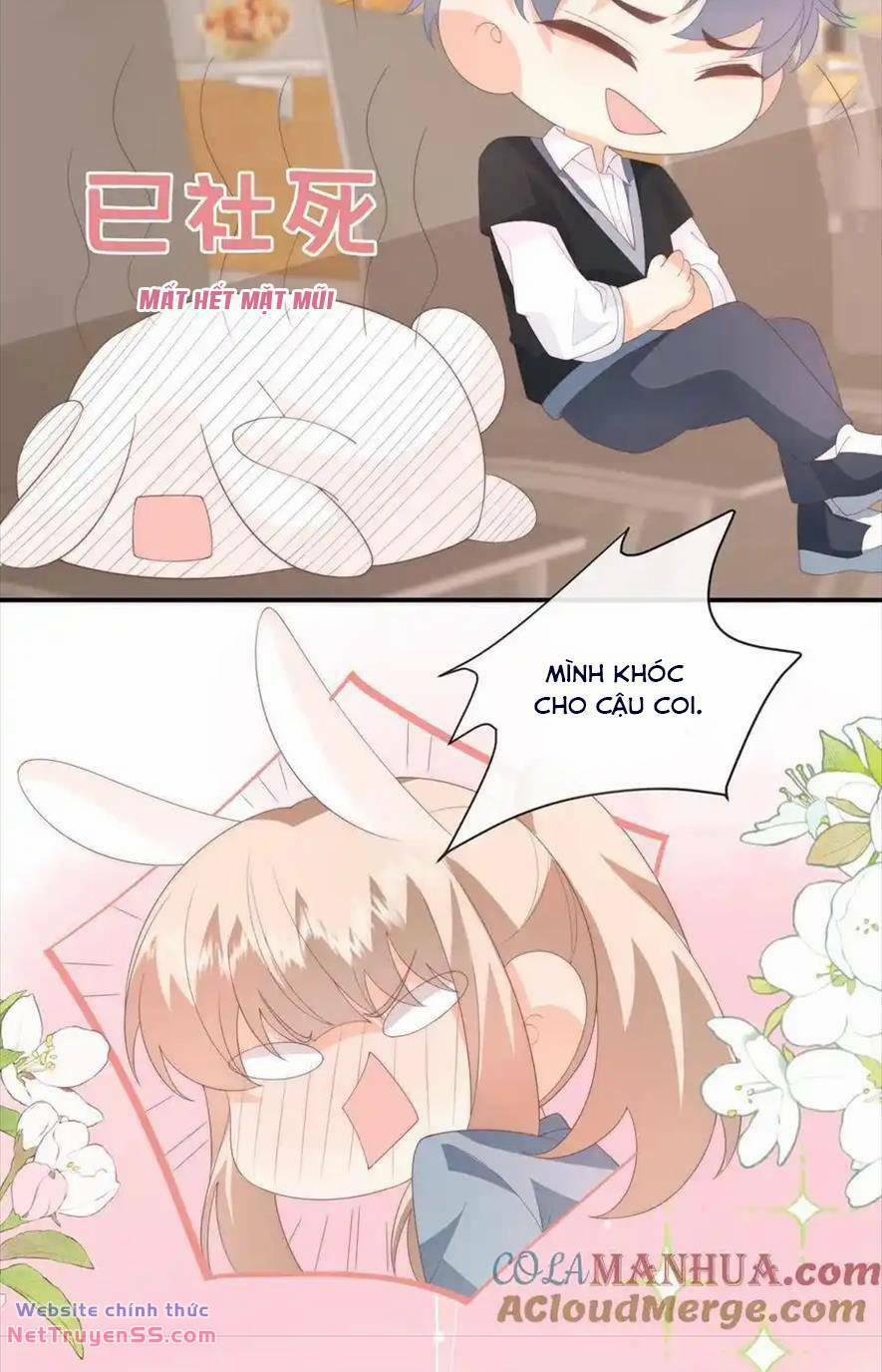 Trọng Sinh Trở Lại Làm Vợ Tổng Tài 126 trang 24