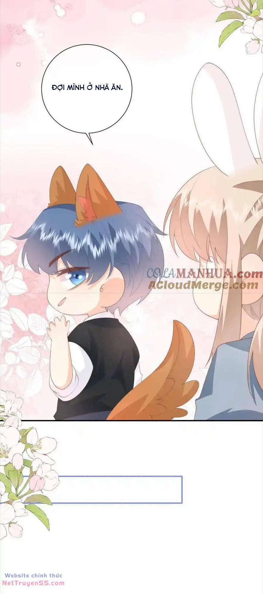 Trọng Sinh Trở Lại Làm Vợ Tổng Tài 126 trang 8