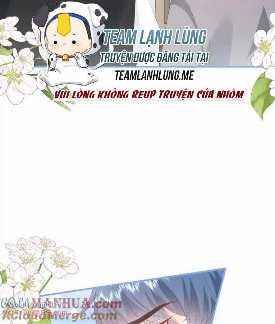 Trọng Sinh Trở Lại Làm Vợ Tổng Tài 130 trang 11