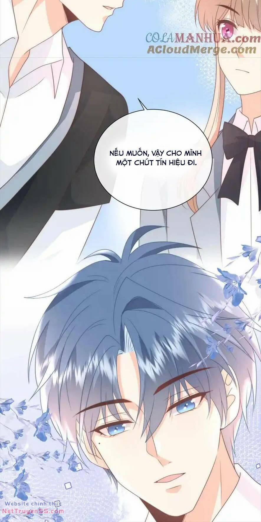 Trọng Sinh Trở Lại Làm Vợ Tổng Tài 132 trang 20