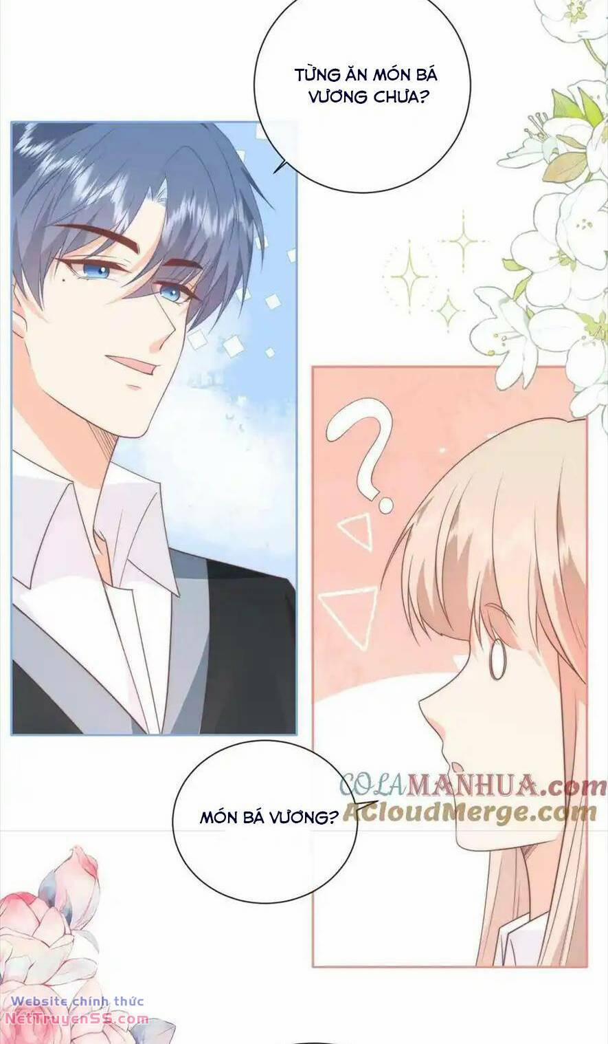 Trọng Sinh Trở Lại Làm Vợ Tổng Tài 133 trang 2