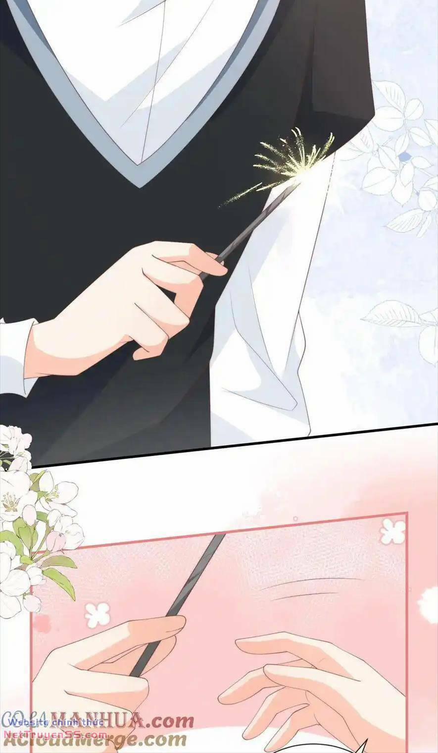 Trọng Sinh Trở Lại Làm Vợ Tổng Tài 134 trang 9