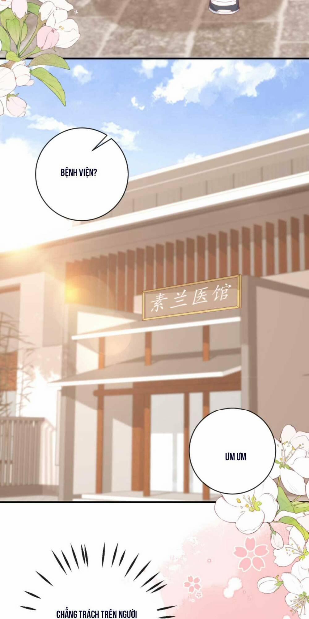 Trọng Sinh Trở Lại Làm Vợ Tổng Tài 23 trang 4