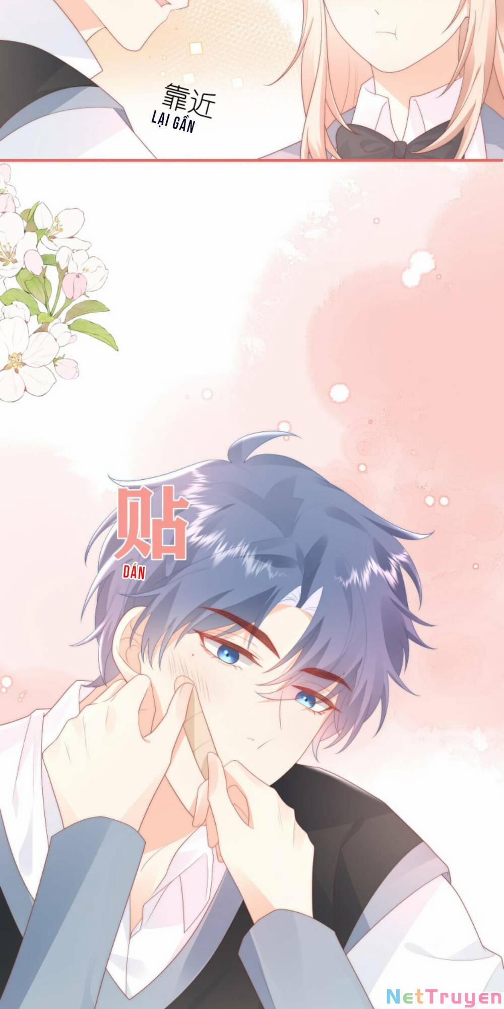 Trọng Sinh Trở Lại Làm Vợ Tổng Tài 25 trang 12