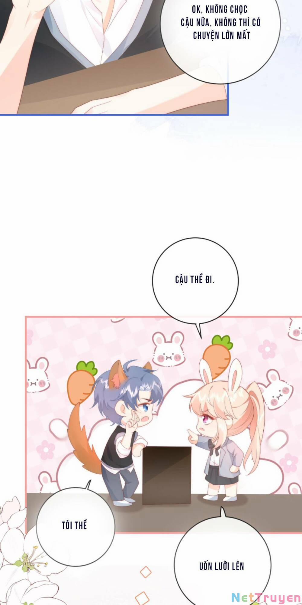 Trọng Sinh Trở Lại Làm Vợ Tổng Tài 25 trang 15