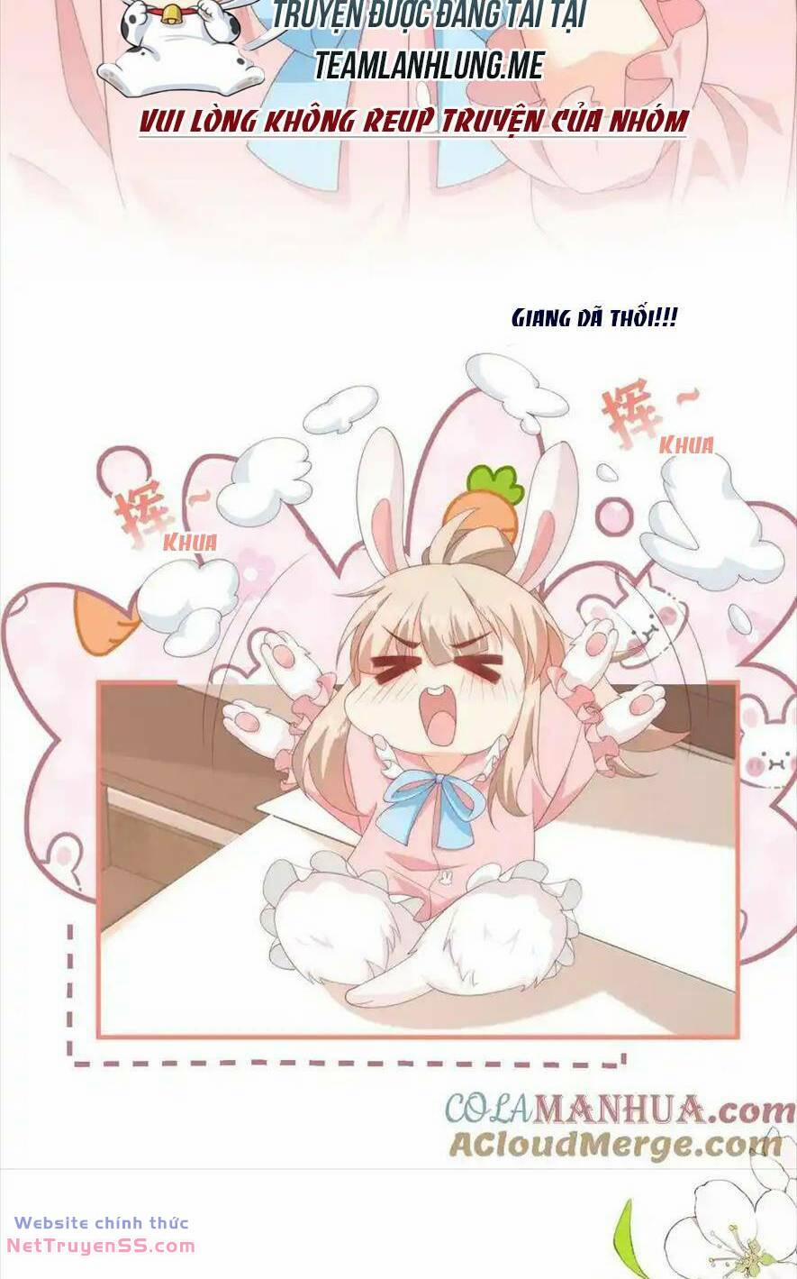 Trọng Sinh Trở Lại Làm Vợ Tổng Tài 48 trang 12