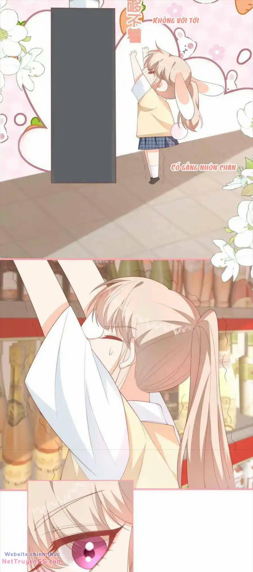 Trọng Sinh Trở Lại Làm Vợ Tổng Tài 49 trang 11