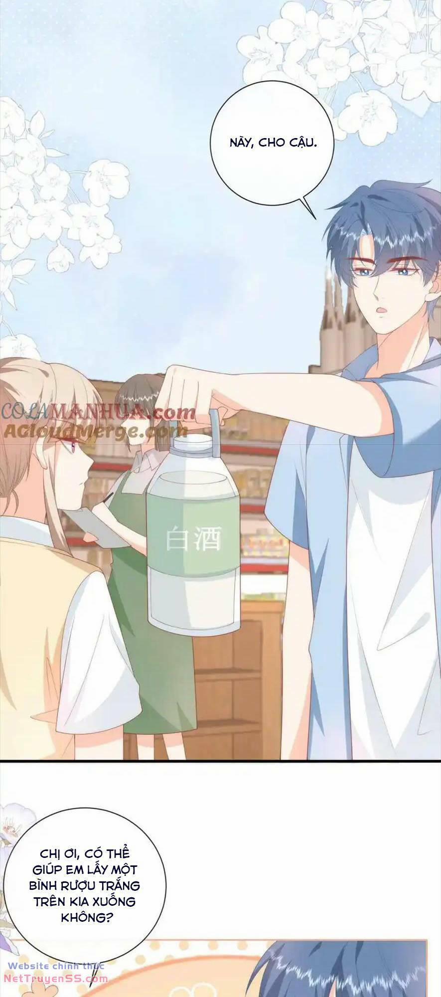 Trọng Sinh Trở Lại Làm Vợ Tổng Tài 49 trang 14