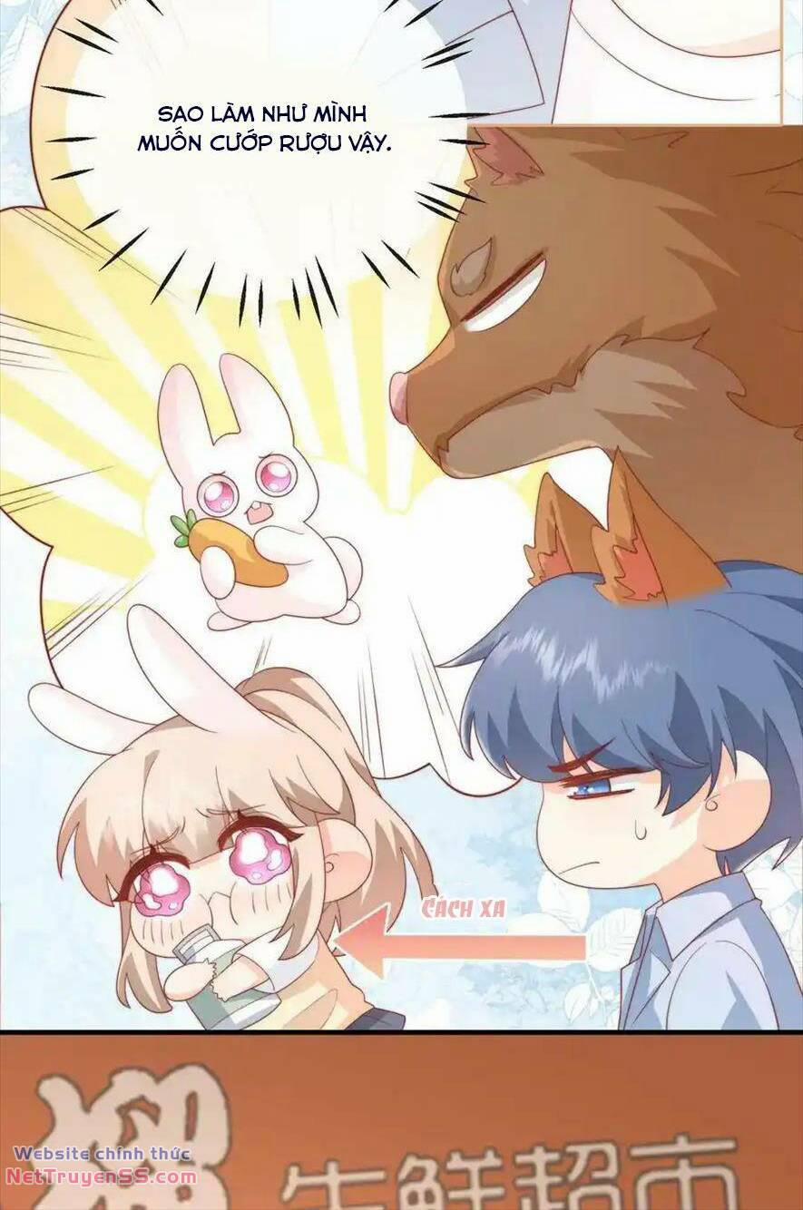 Trọng Sinh Trở Lại Làm Vợ Tổng Tài 49 trang 21