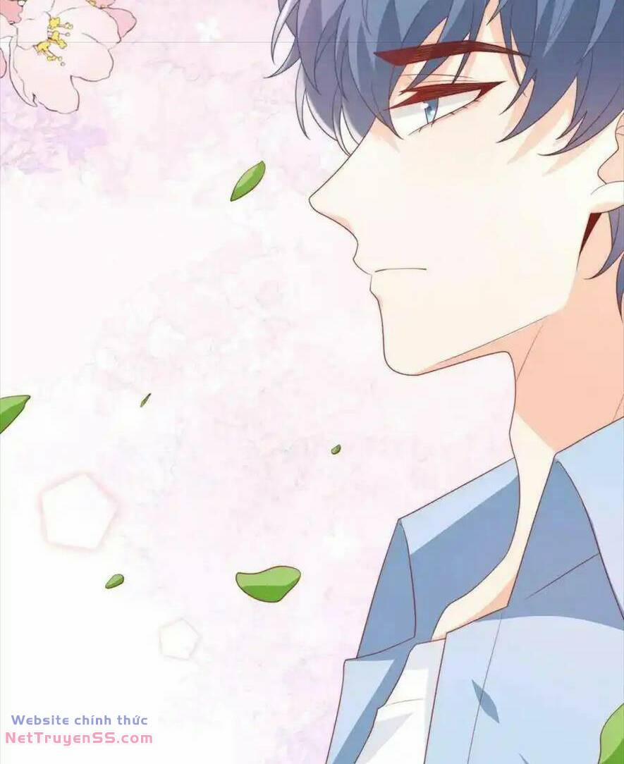 Trọng Sinh Trở Lại Làm Vợ Tổng Tài 49 trang 24