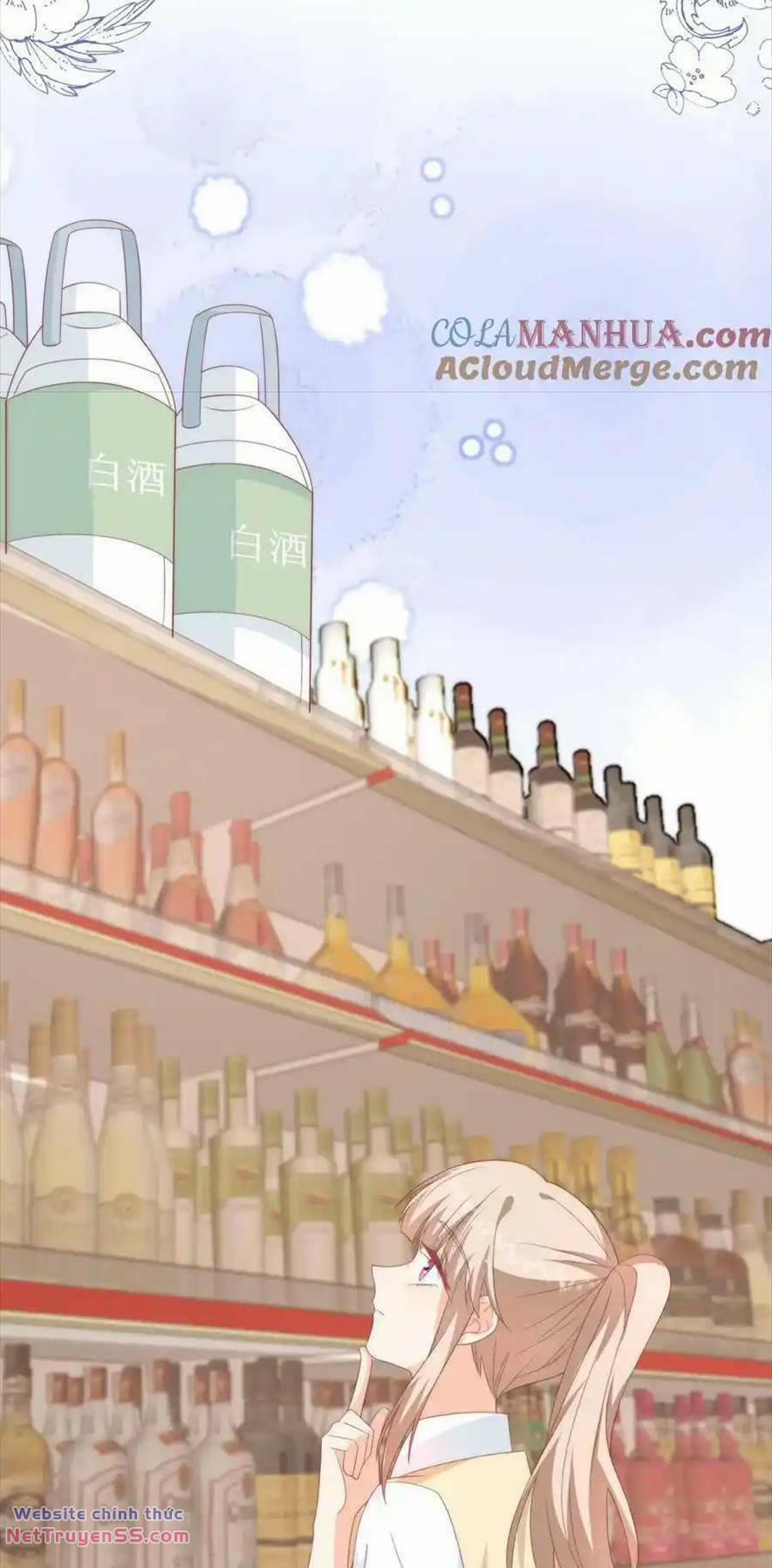 Trọng Sinh Trở Lại Làm Vợ Tổng Tài 49 trang 9