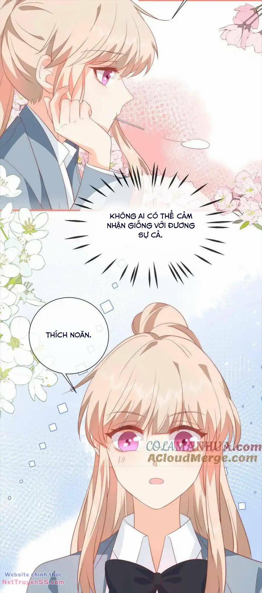 Trọng Sinh Trở Lại Làm Vợ Tổng Tài 50 trang 12