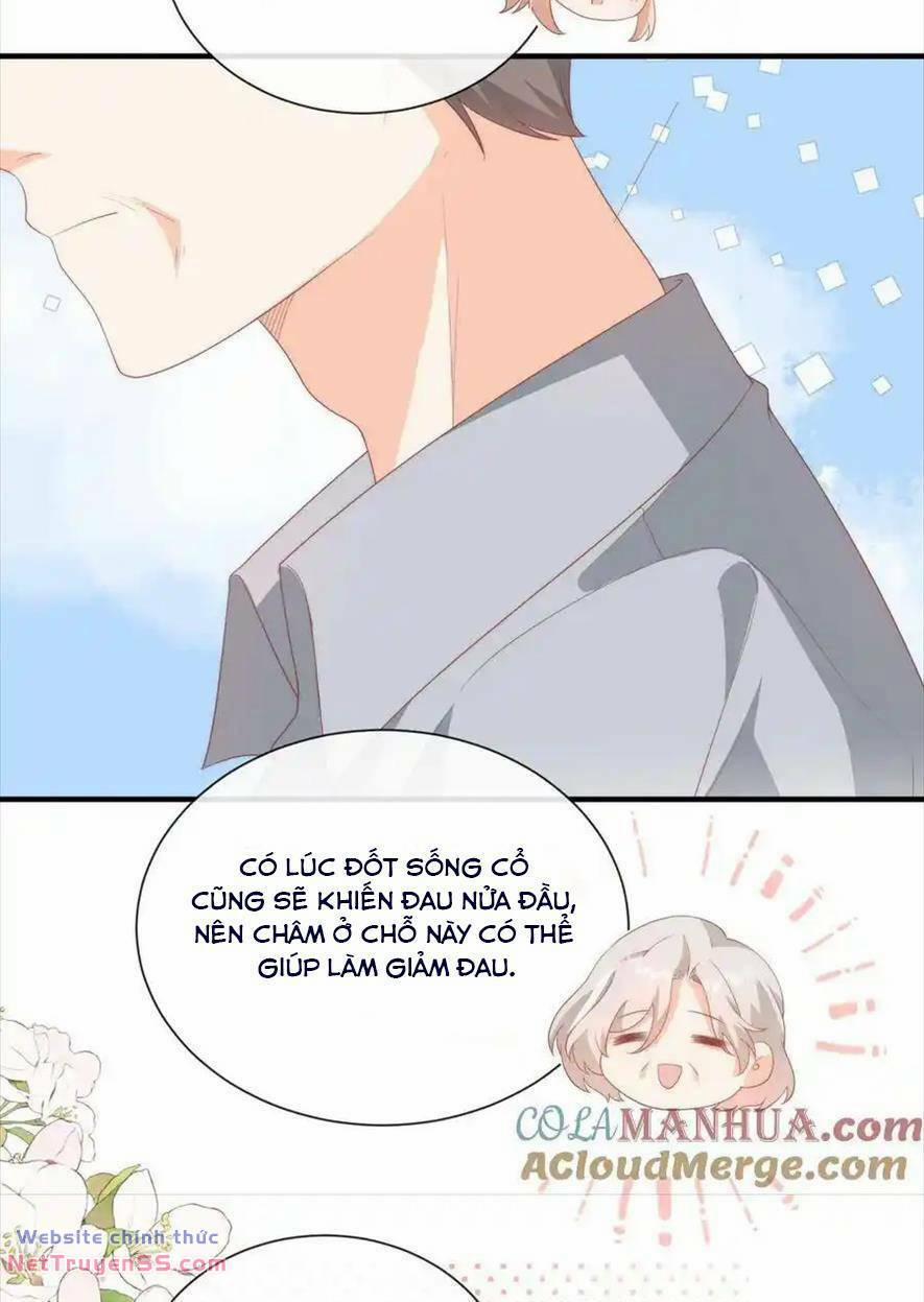 Trọng Sinh Trở Lại Làm Vợ Tổng Tài 53 trang 19