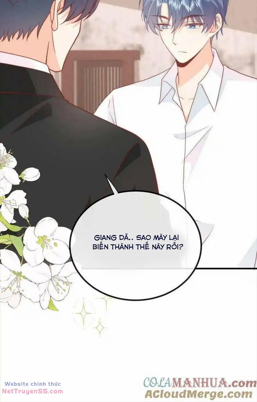 Trọng Sinh Trở Lại Làm Vợ Tổng Tài 54 trang 11