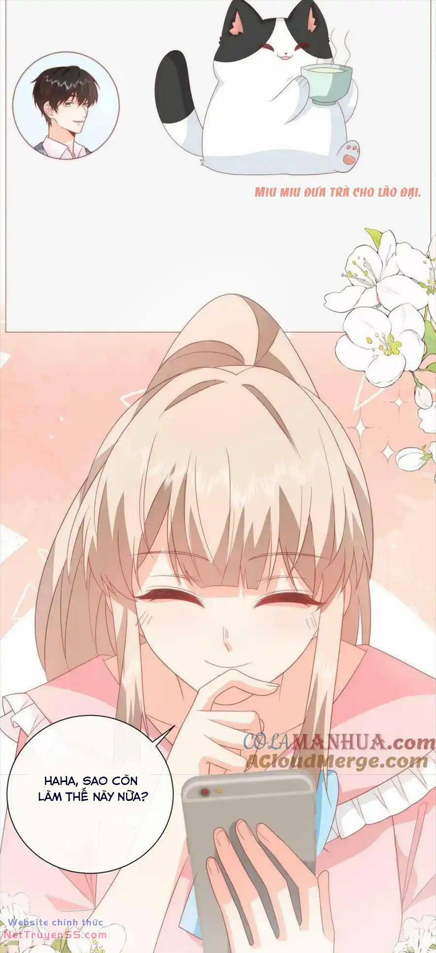 Trọng Sinh Trở Lại Làm Vợ Tổng Tài 55 trang 6