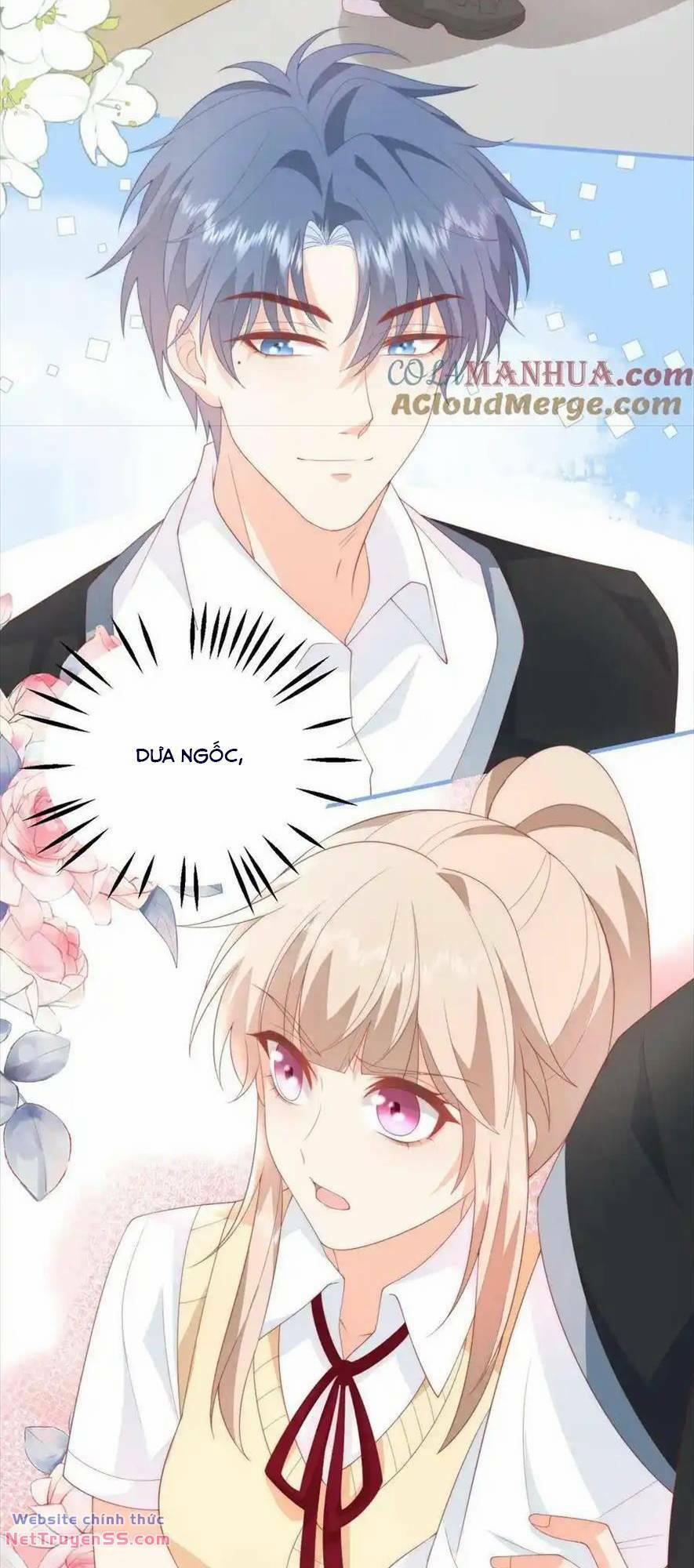 Trọng Sinh Trở Lại Làm Vợ Tổng Tài 58 trang 19