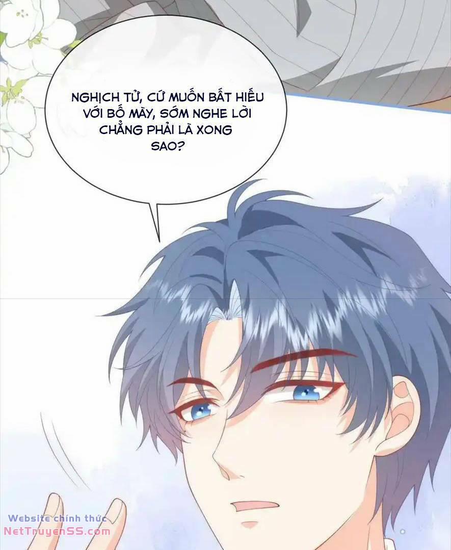 Trọng Sinh Trở Lại Làm Vợ Tổng Tài 58 trang 9