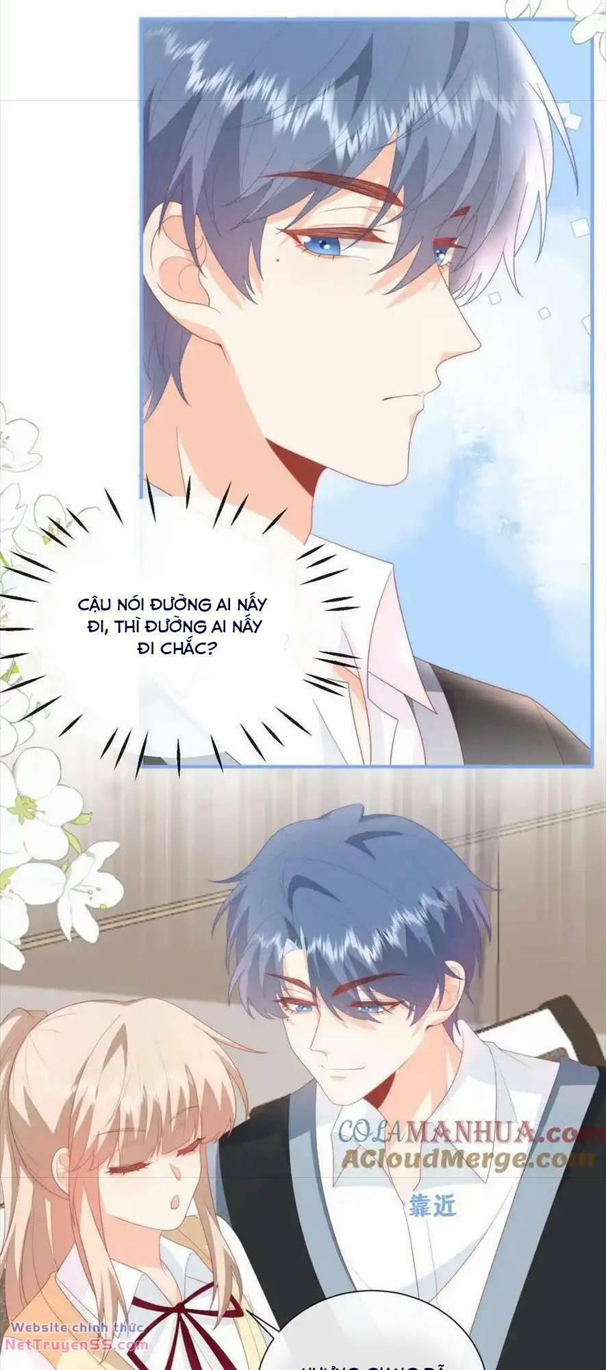 Trọng Sinh Trở Lại Làm Vợ Tổng Tài 61 trang 14