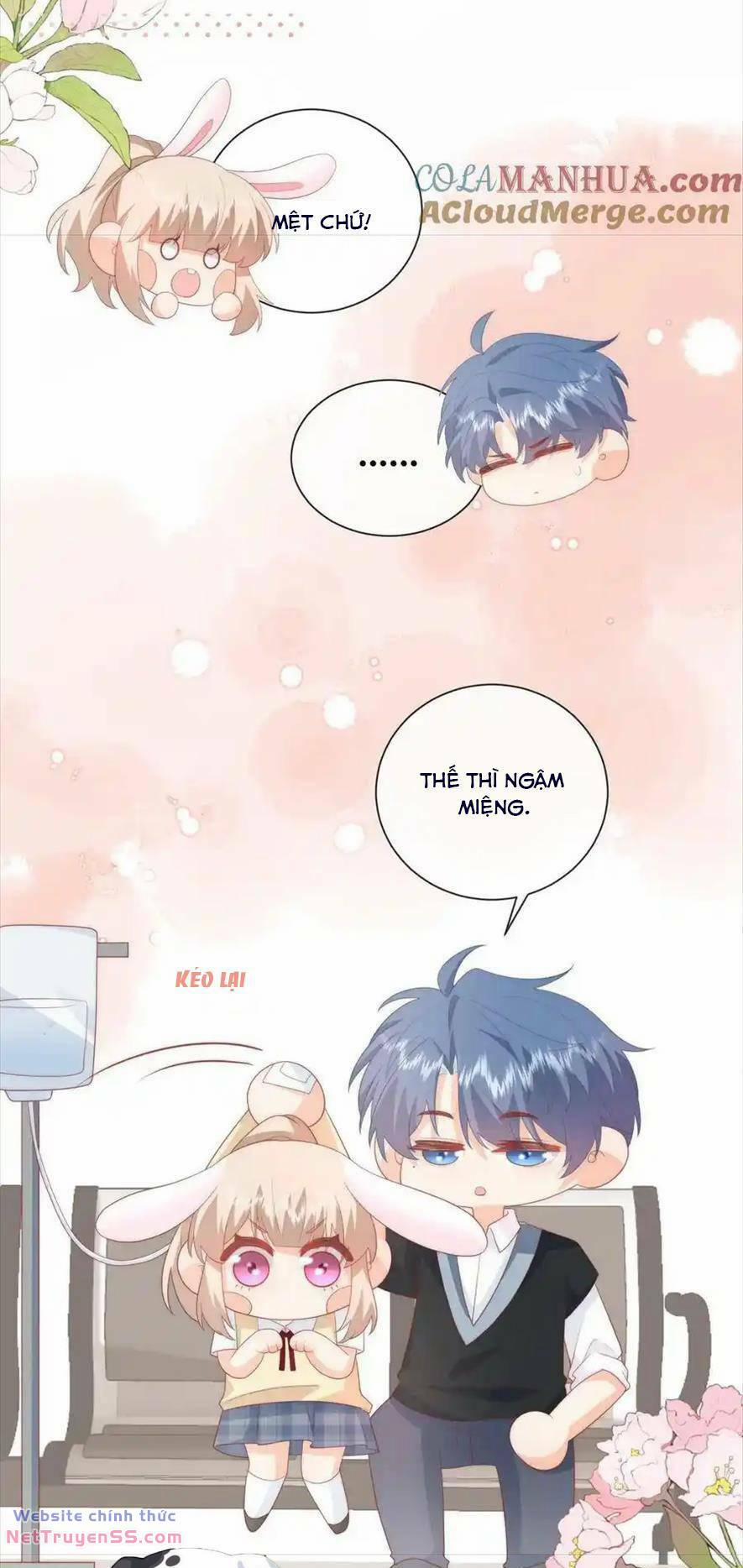 Trọng Sinh Trở Lại Làm Vợ Tổng Tài 61 trang 17