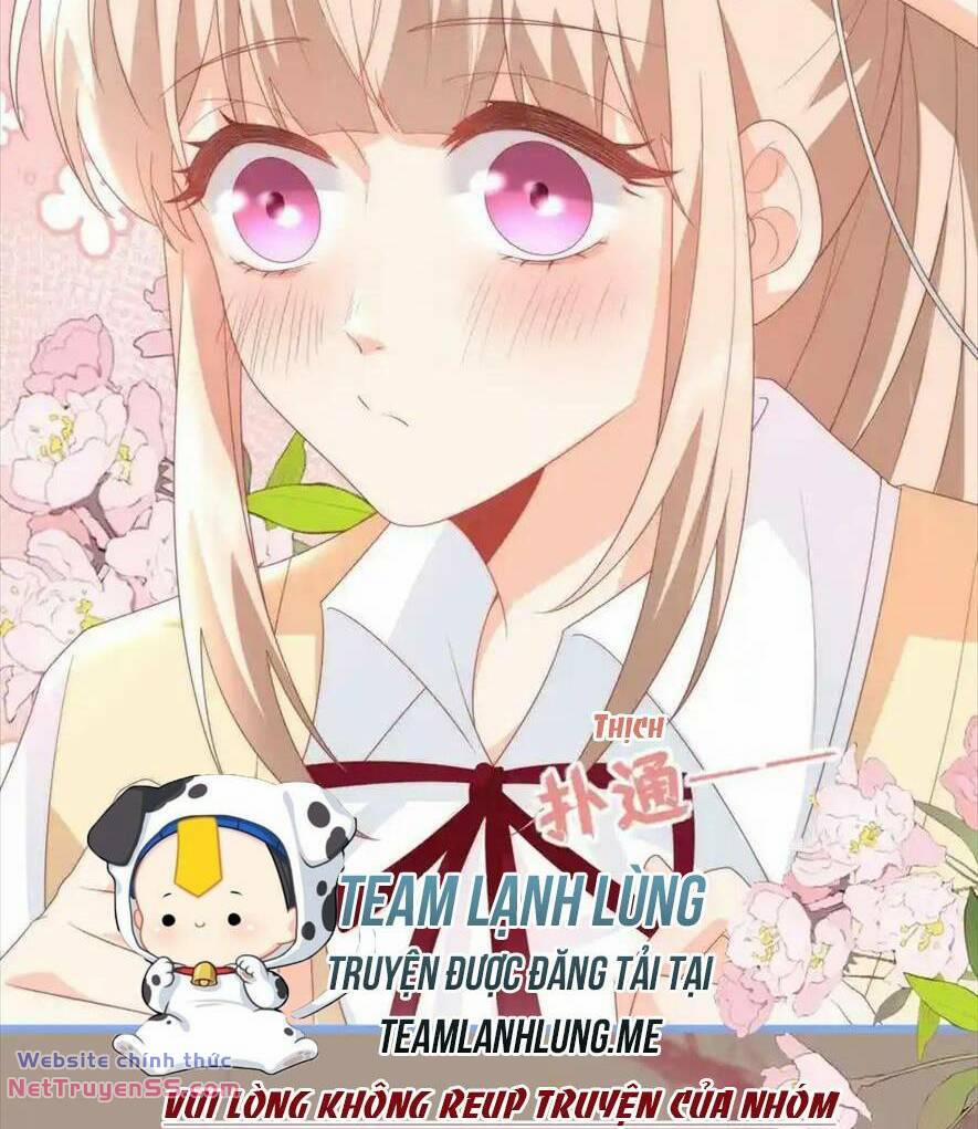 Trọng Sinh Trở Lại Làm Vợ Tổng Tài 61 trang 8