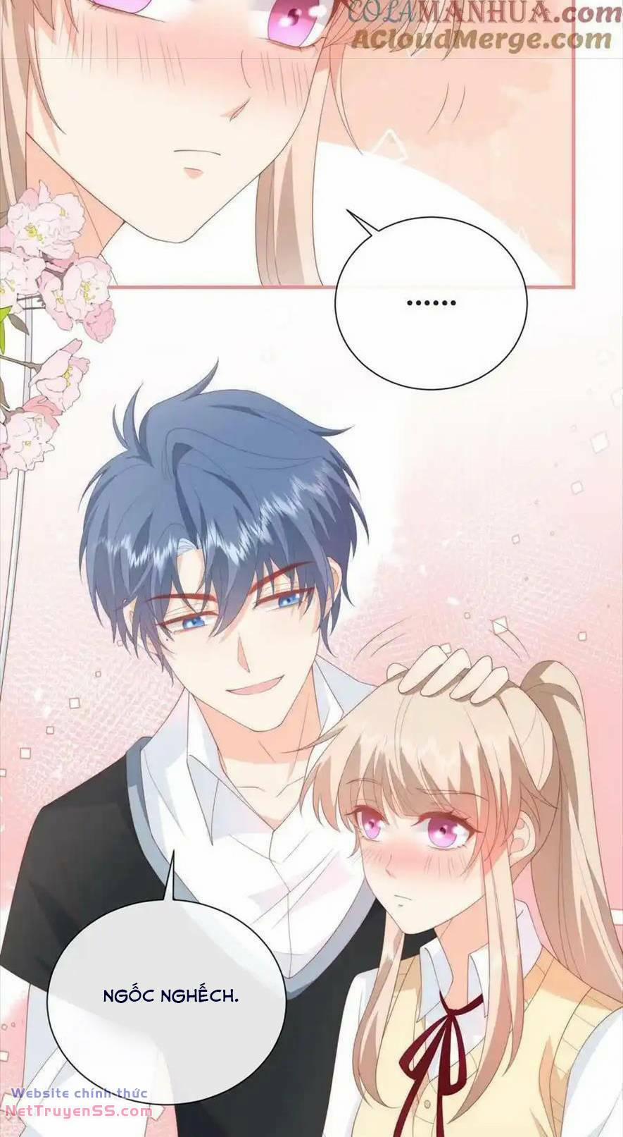 Trọng Sinh Trở Lại Làm Vợ Tổng Tài 63 trang 7