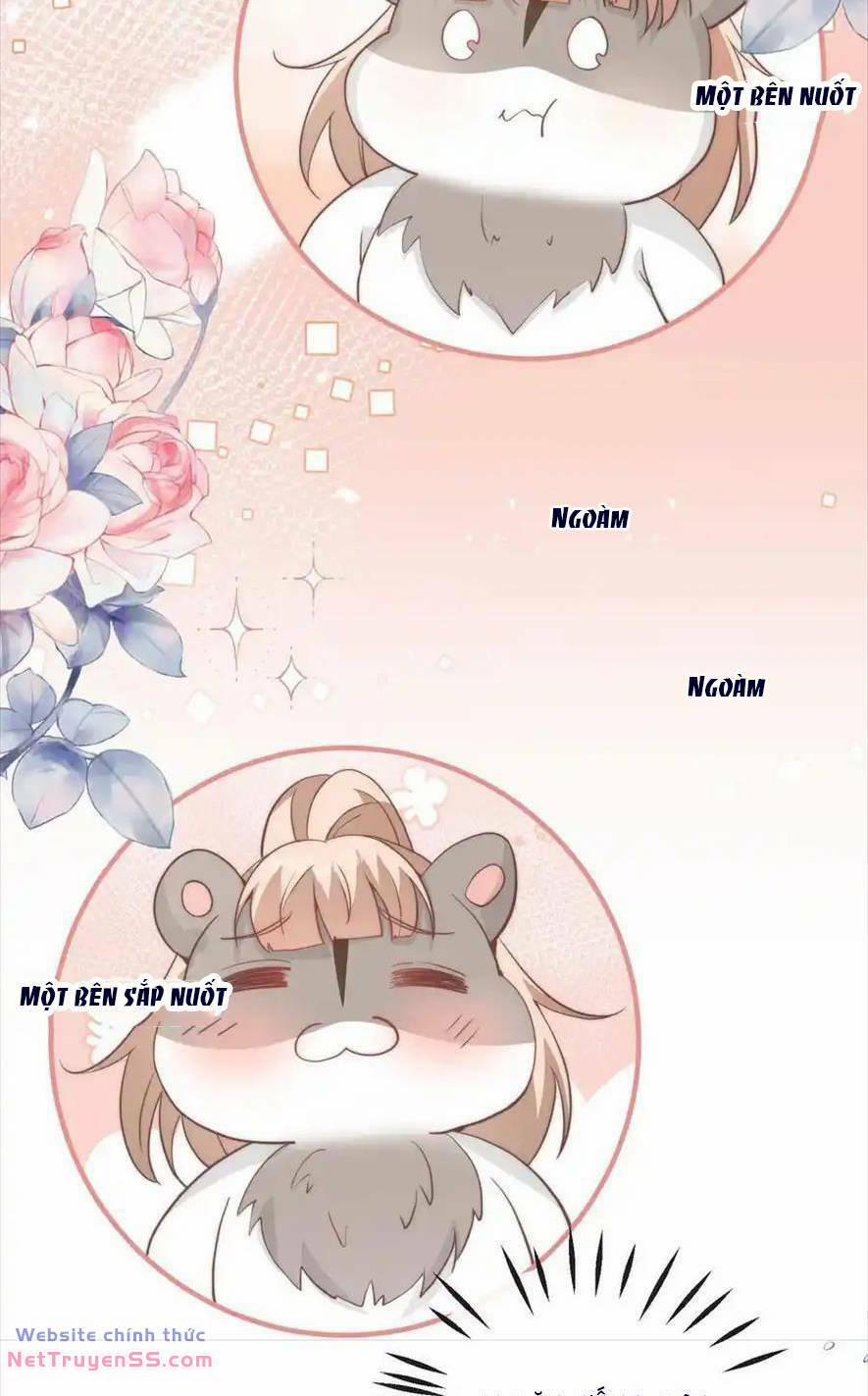 Trọng Sinh Trở Lại Làm Vợ Tổng Tài 65 trang 7