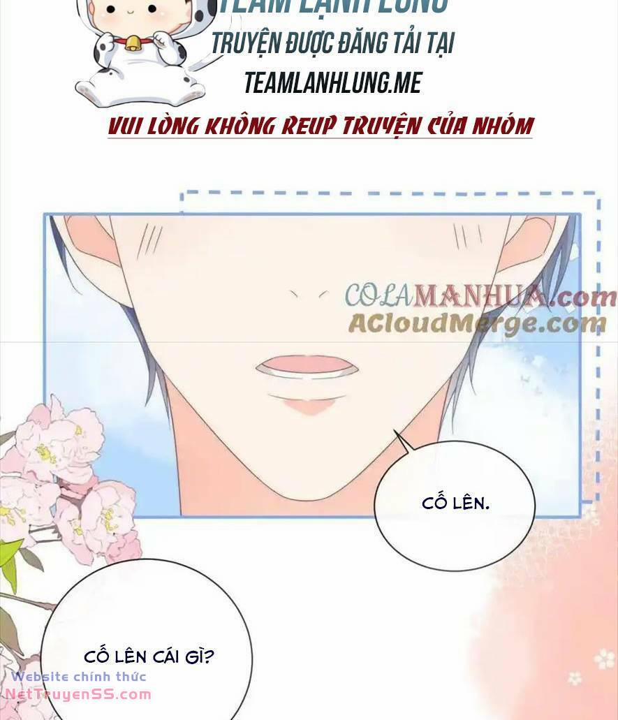 Trọng Sinh Trở Lại Làm Vợ Tổng Tài 66 trang 10