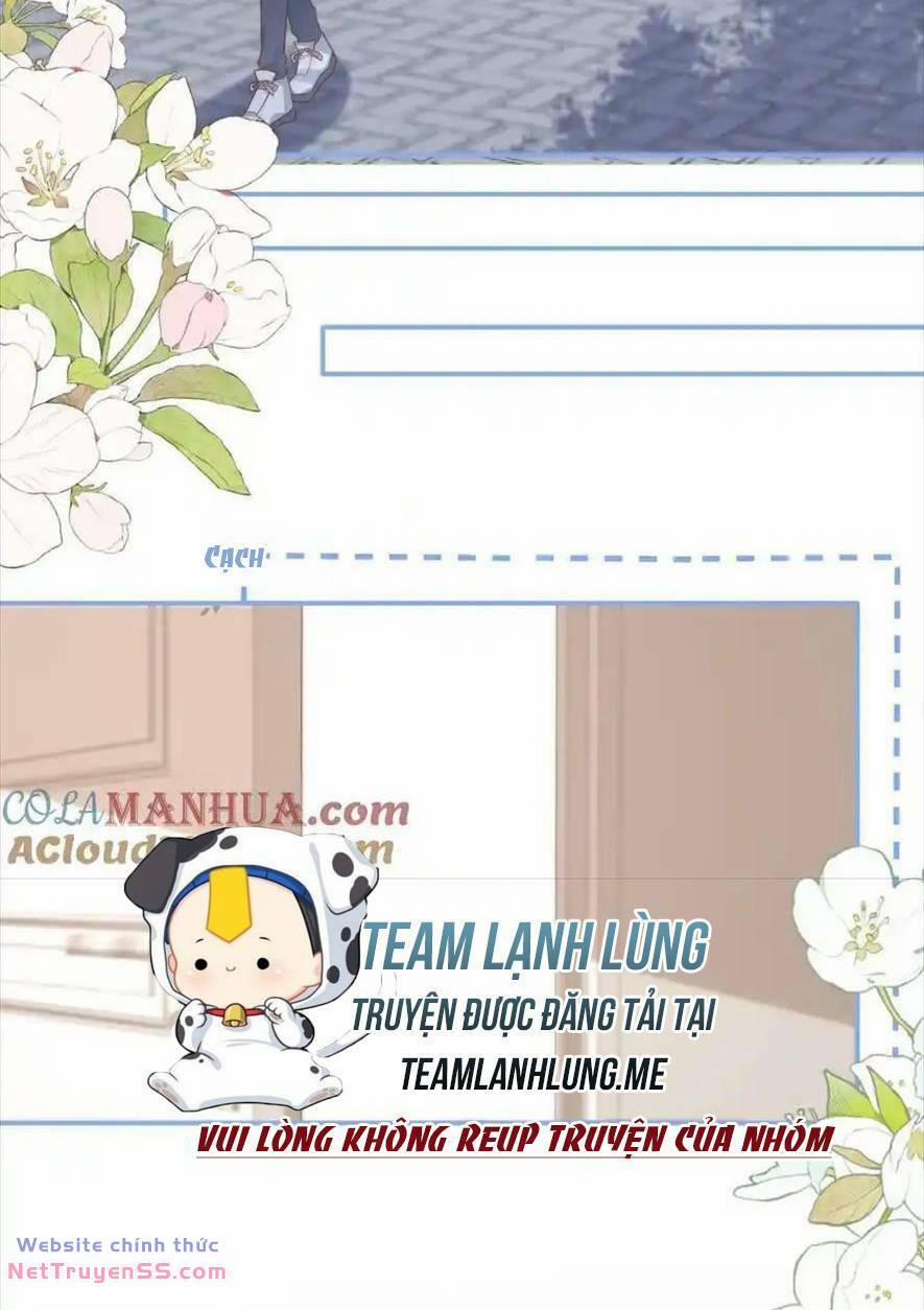 Trọng Sinh Trở Lại Làm Vợ Tổng Tài 66 trang 16