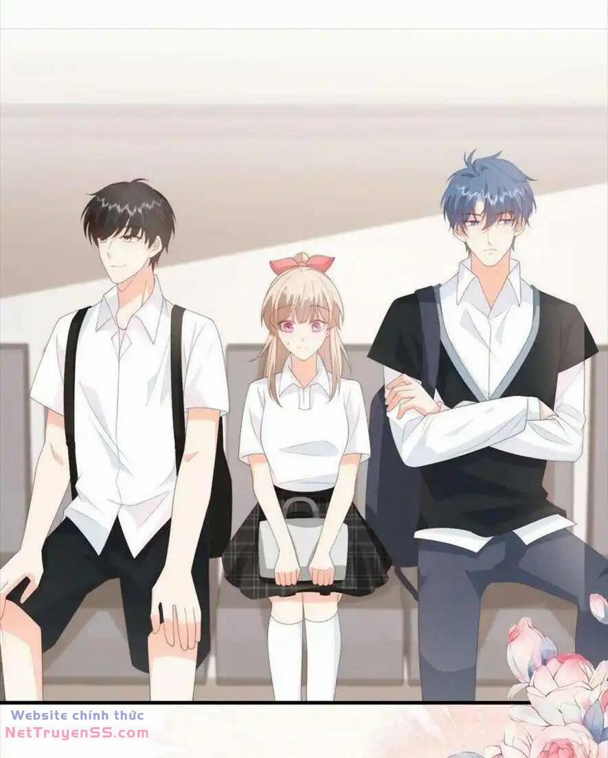 Trọng Sinh Trở Lại Làm Vợ Tổng Tài 67 trang 15