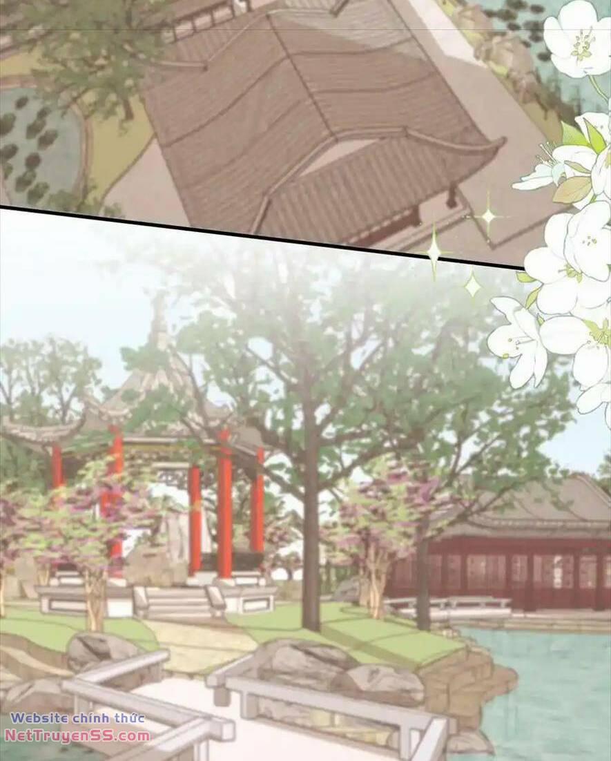 Trọng Sinh Trở Lại Làm Vợ Tổng Tài 67 trang 23