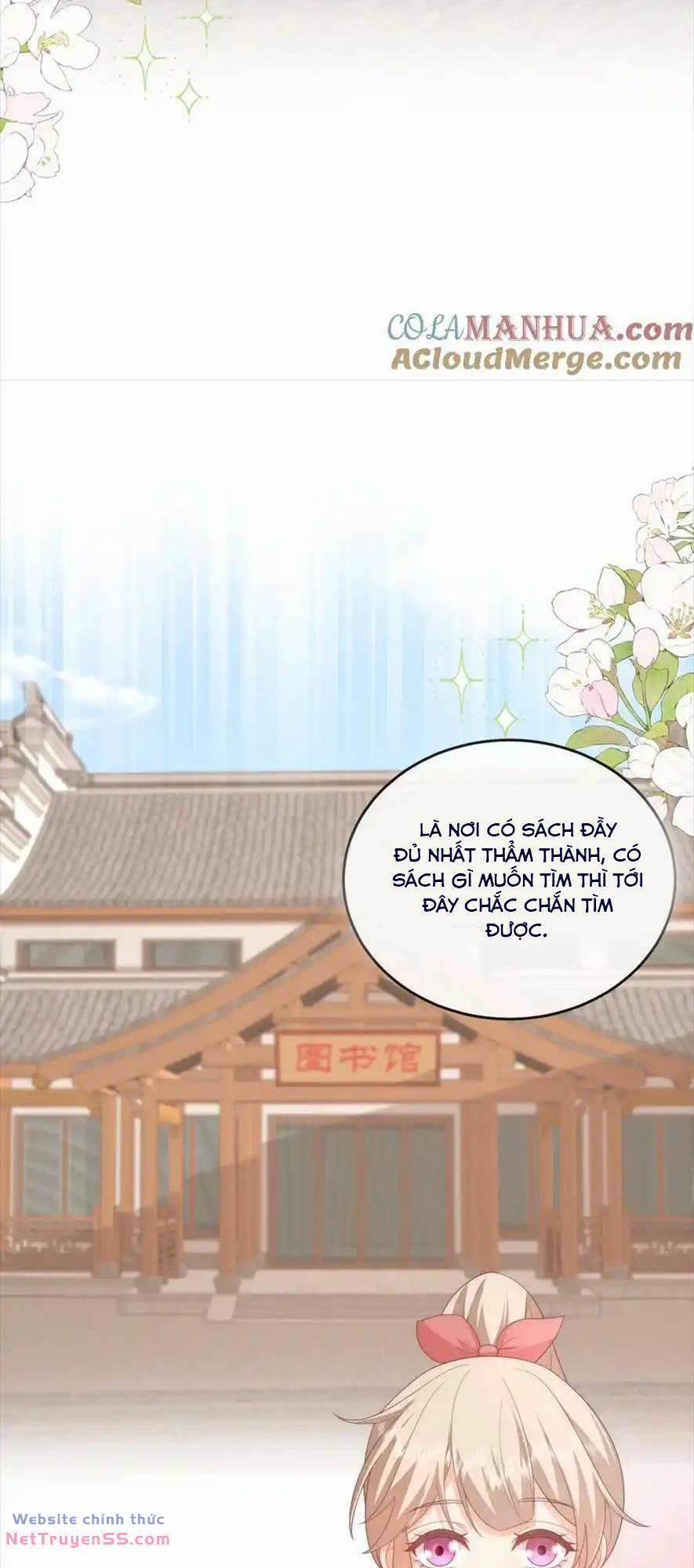 Trọng Sinh Trở Lại Làm Vợ Tổng Tài 68 trang 17