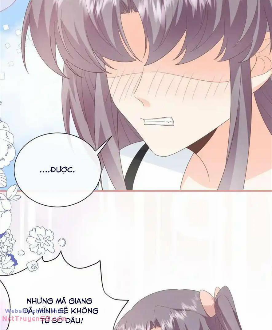 Trọng Sinh Trở Lại Làm Vợ Tổng Tài 71 trang 24