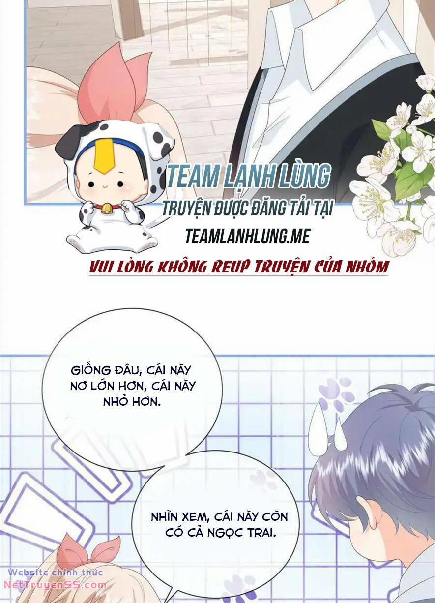 Trọng Sinh Trở Lại Làm Vợ Tổng Tài 73 trang 13