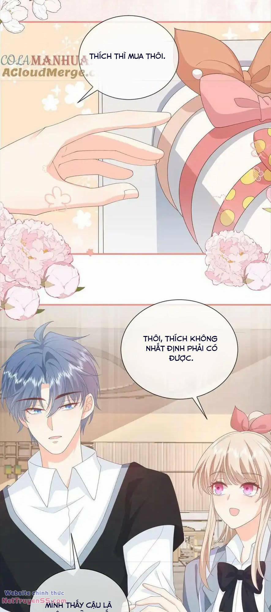 Trọng Sinh Trở Lại Làm Vợ Tổng Tài 73 trang 15