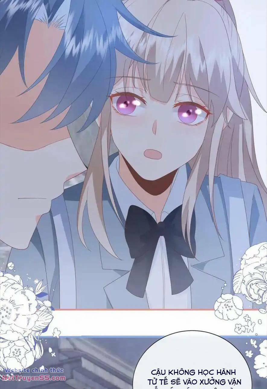 Trọng Sinh Trở Lại Làm Vợ Tổng Tài 74 trang 15