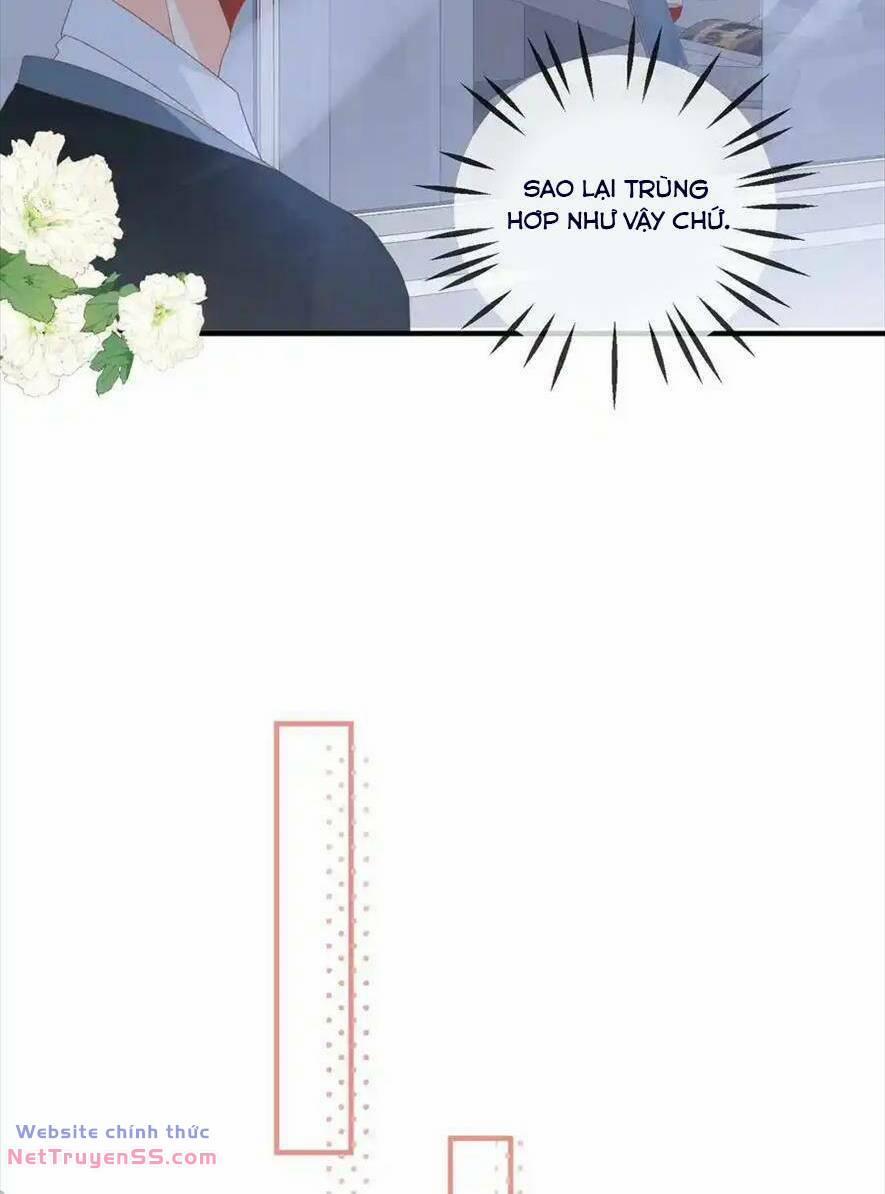 Trọng Sinh Trở Lại Làm Vợ Tổng Tài 74 trang 25