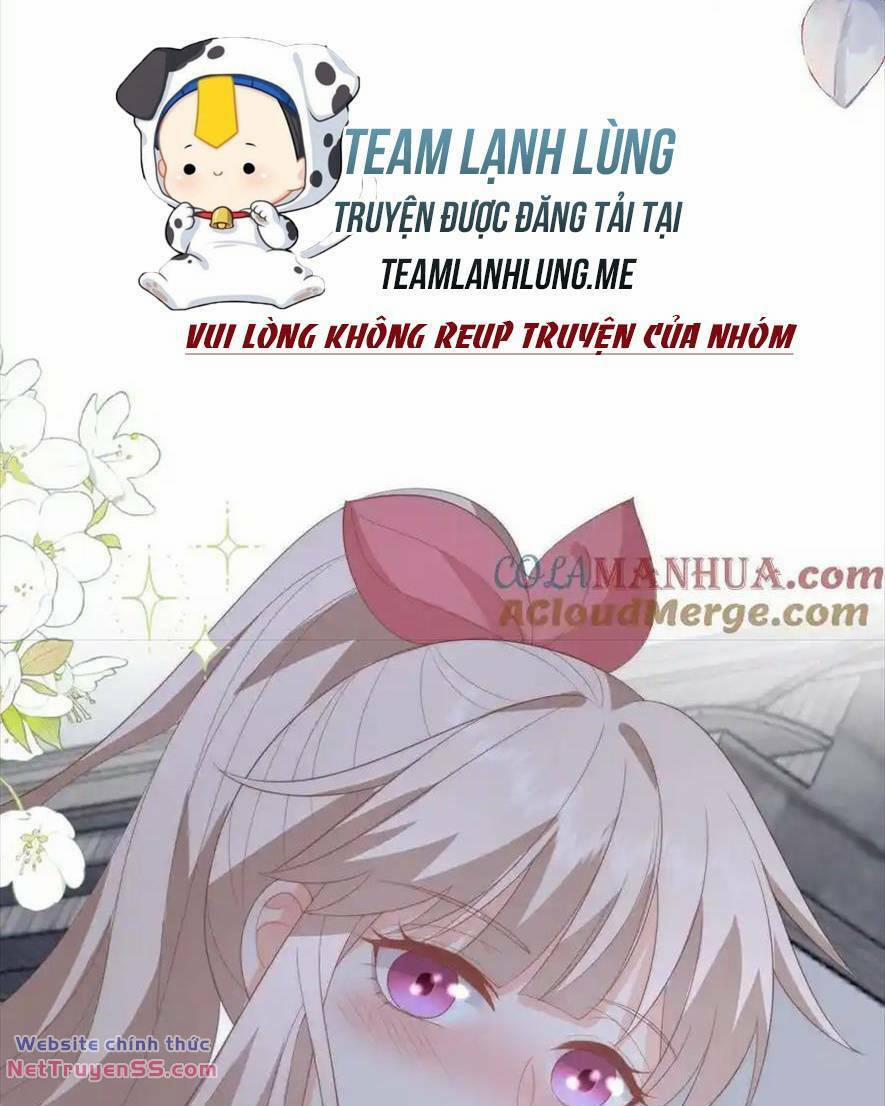 Trọng Sinh Trở Lại Làm Vợ Tổng Tài 74 trang 9