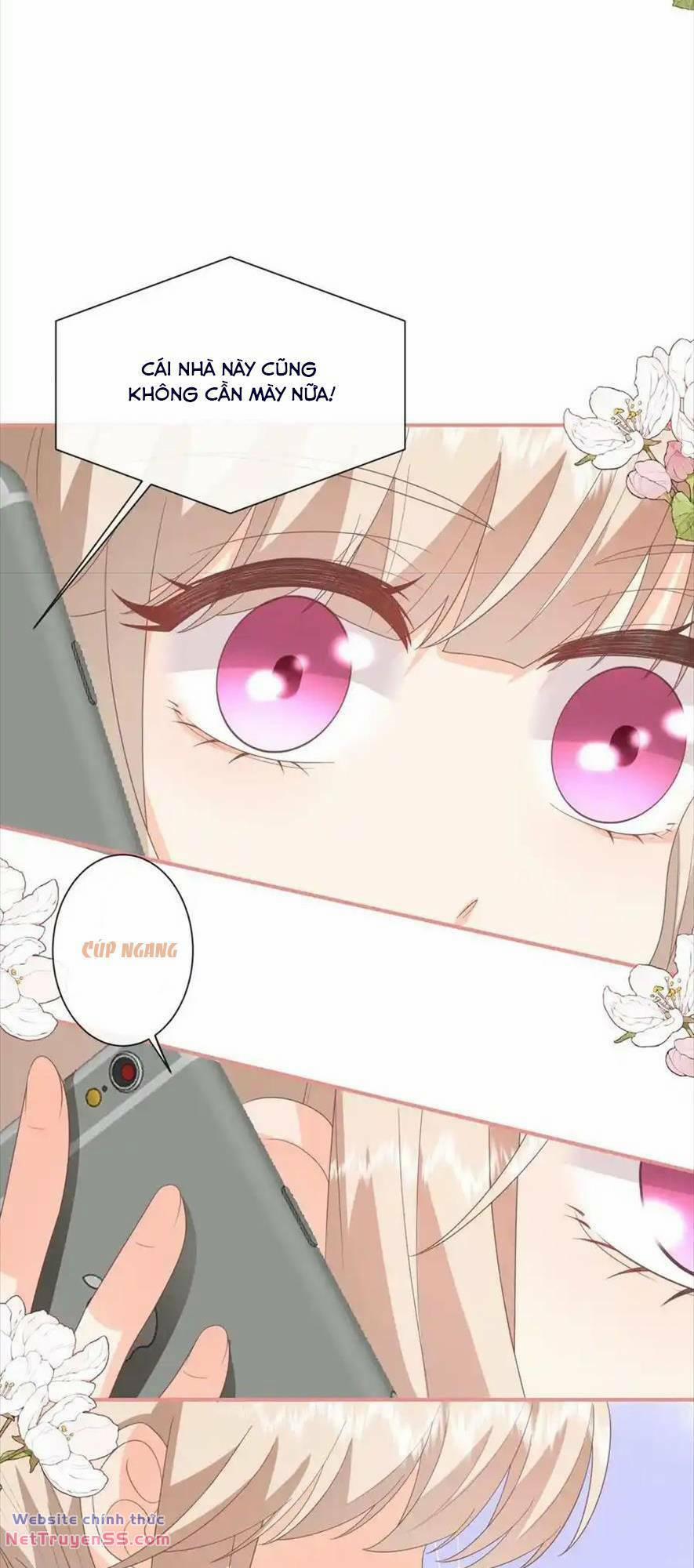 Trọng Sinh Trở Lại Làm Vợ Tổng Tài 75 trang 19