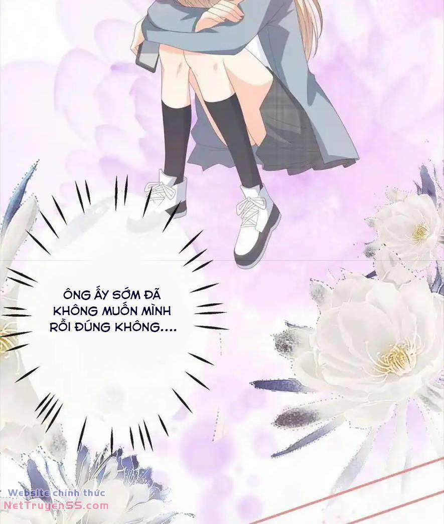 Trọng Sinh Trở Lại Làm Vợ Tổng Tài 75 trang 23