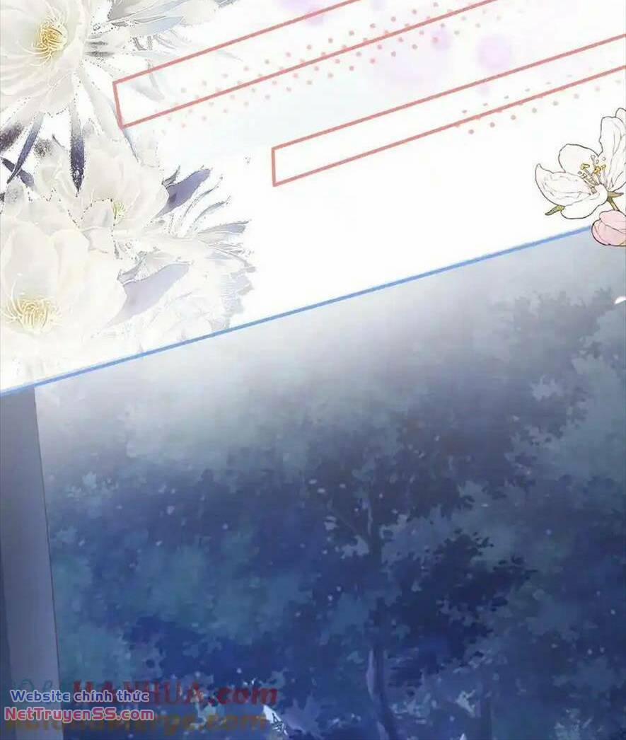 Trọng Sinh Trở Lại Làm Vợ Tổng Tài 75 trang 24