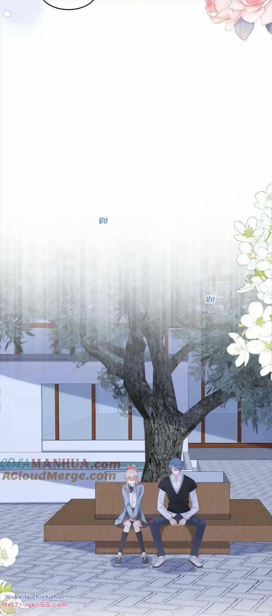 Trọng Sinh Trở Lại Làm Vợ Tổng Tài 76 trang 21